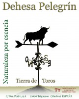 /album/dehesa-pelegrin/etiqueta-tierra-toros-copia-jpg/